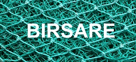 El proyecto BIRSARE desarrollará herramientas 4.0 para la circularidad de los residuos plásticos marinos